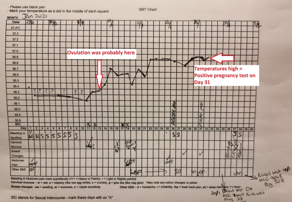 BBT: Chart: Pregnant vs. Not Pregnant (Compare chart images) – Easy@Home  Fertility