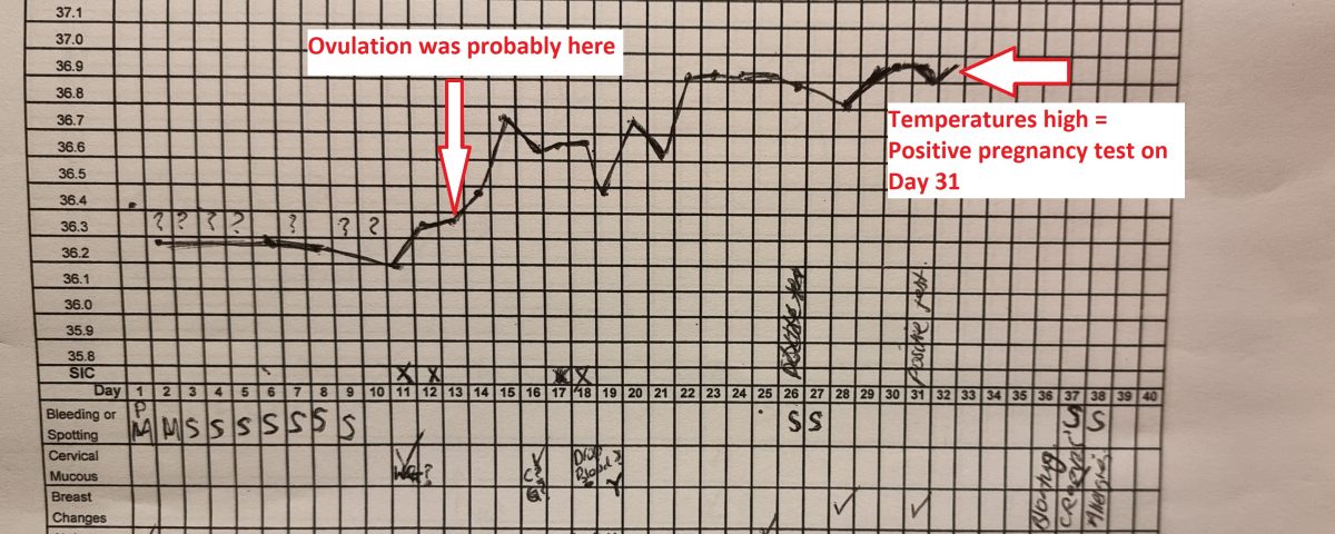 Bbt Chart Of Woman