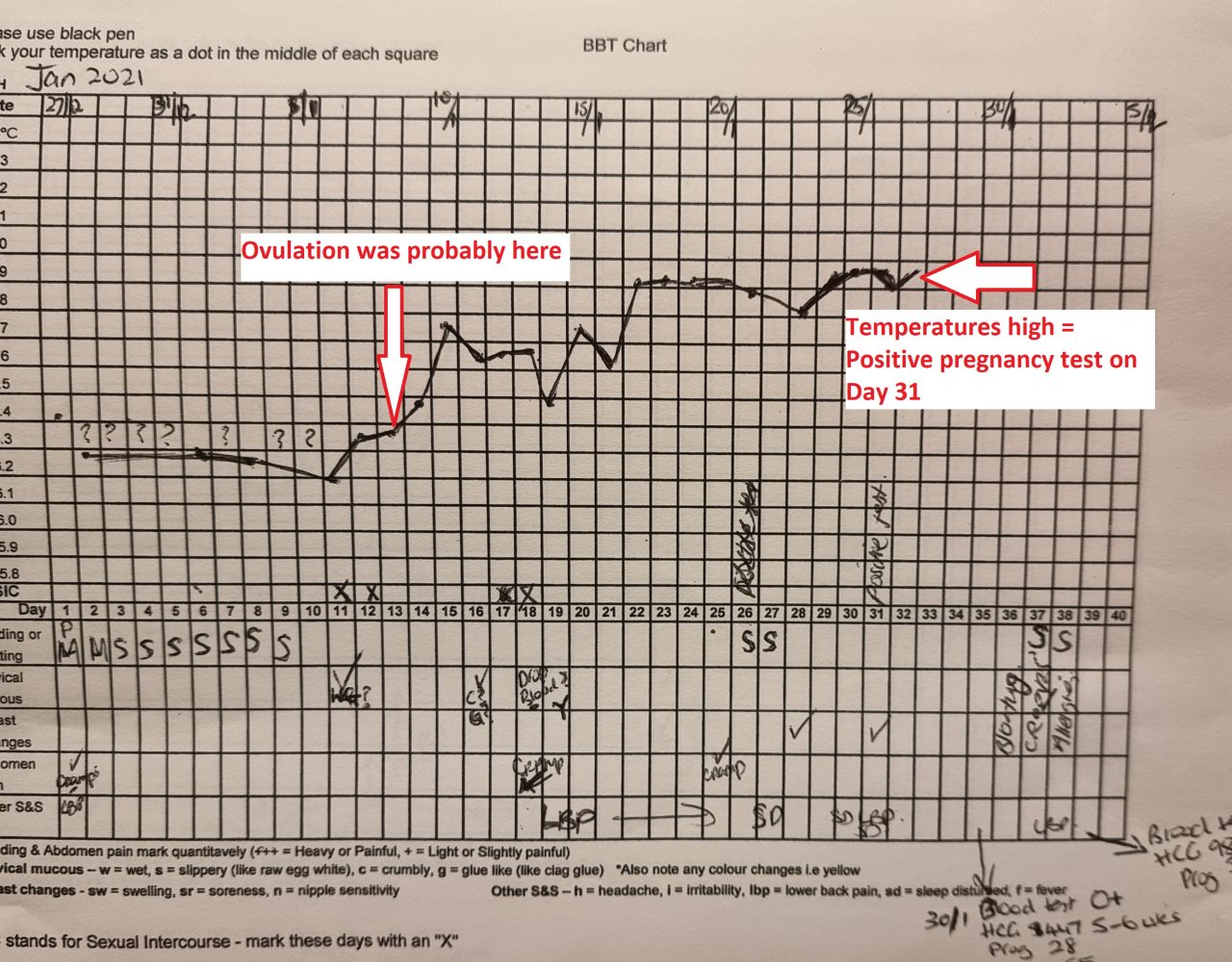 Blog | Acupuncture | Information | Discussions | Point Specifics