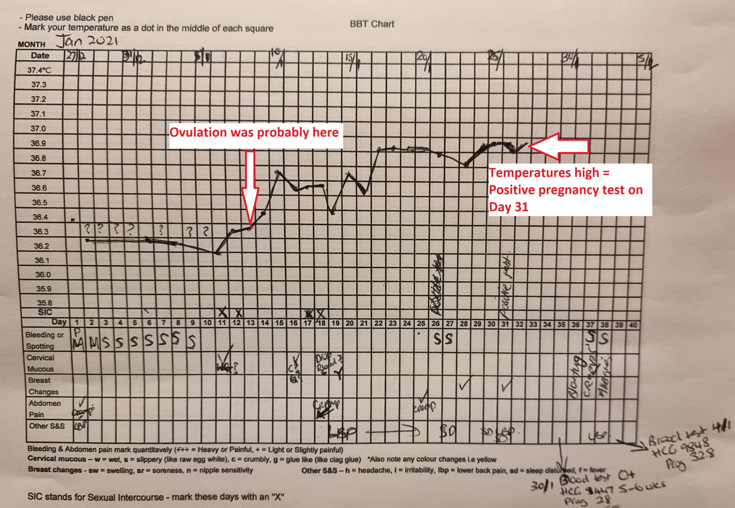 Anestezic Pod Partid Democratic Basal Body Temperature Chart Constant 