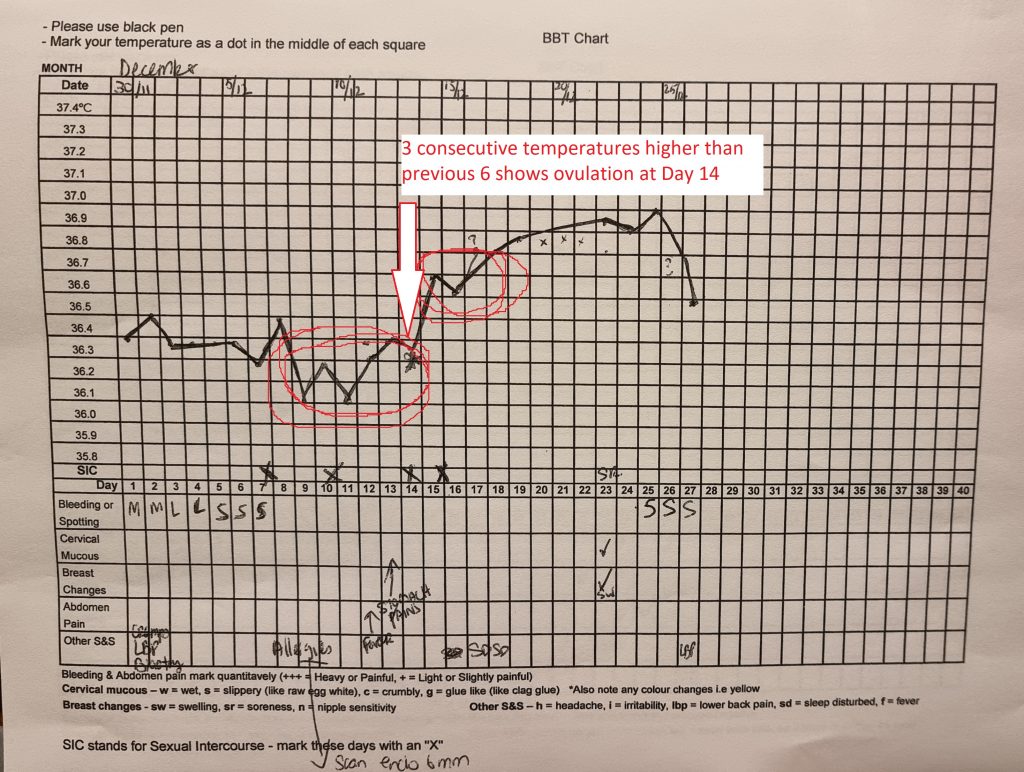 How to use a BBT chart to help you fall pregnant Point Specifics (2022)