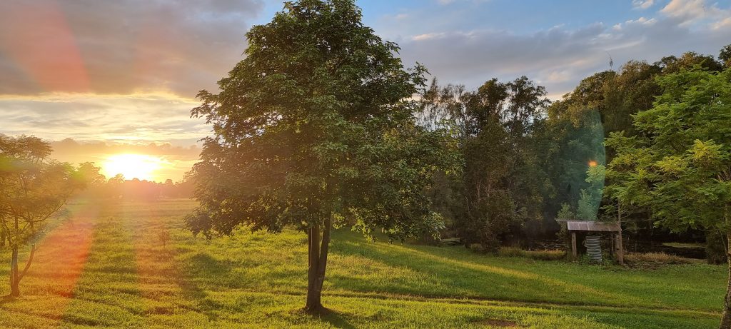 sunrise-over-field